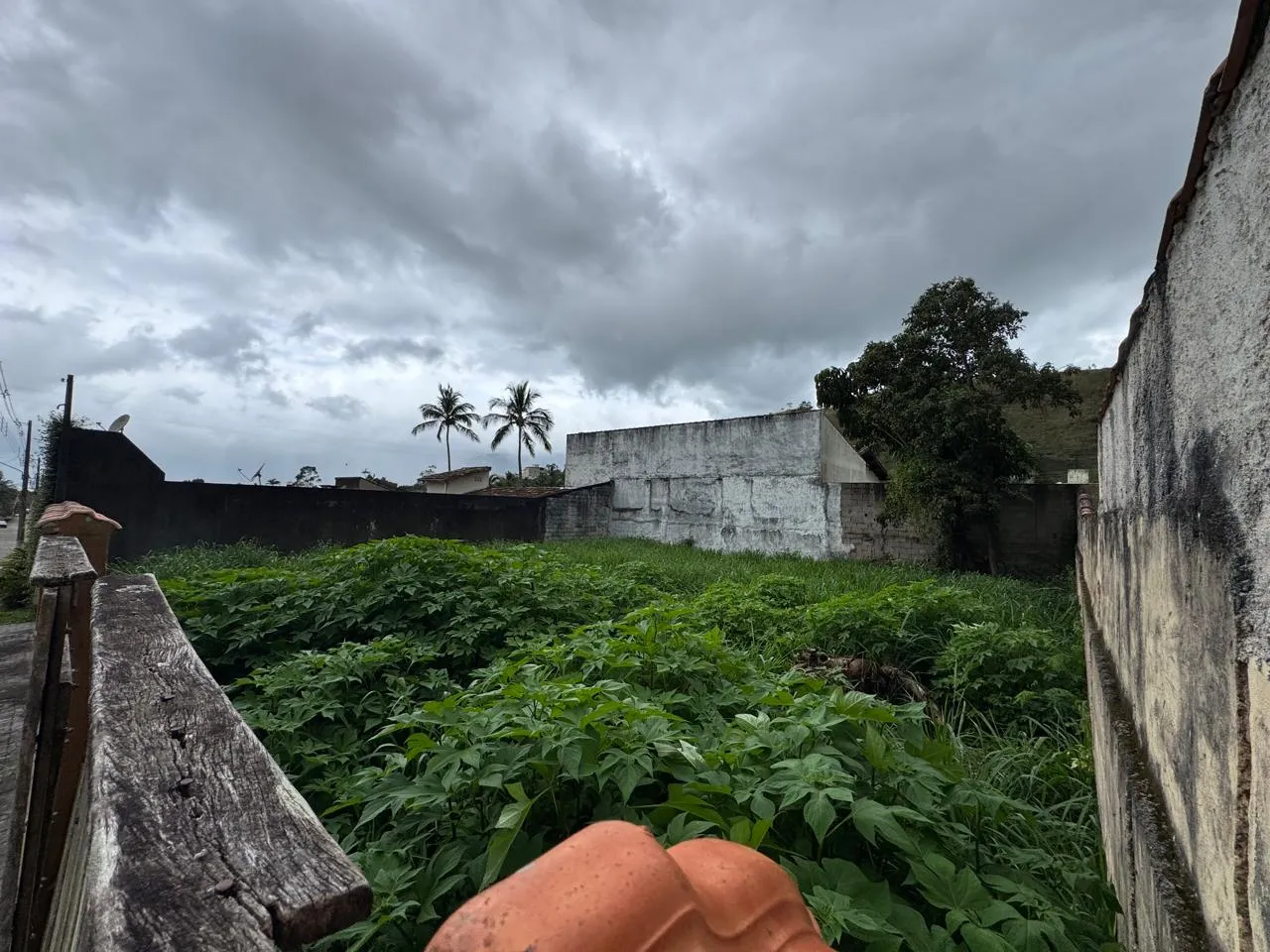 Terreno em Portal do Olaria, São Sebastião - foto 3 de 8