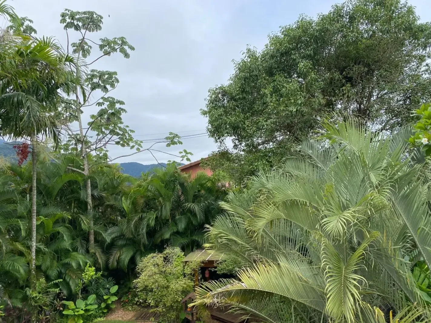 Casa em condomínio em Juquehy, São Sebastião - foto 28 de 57