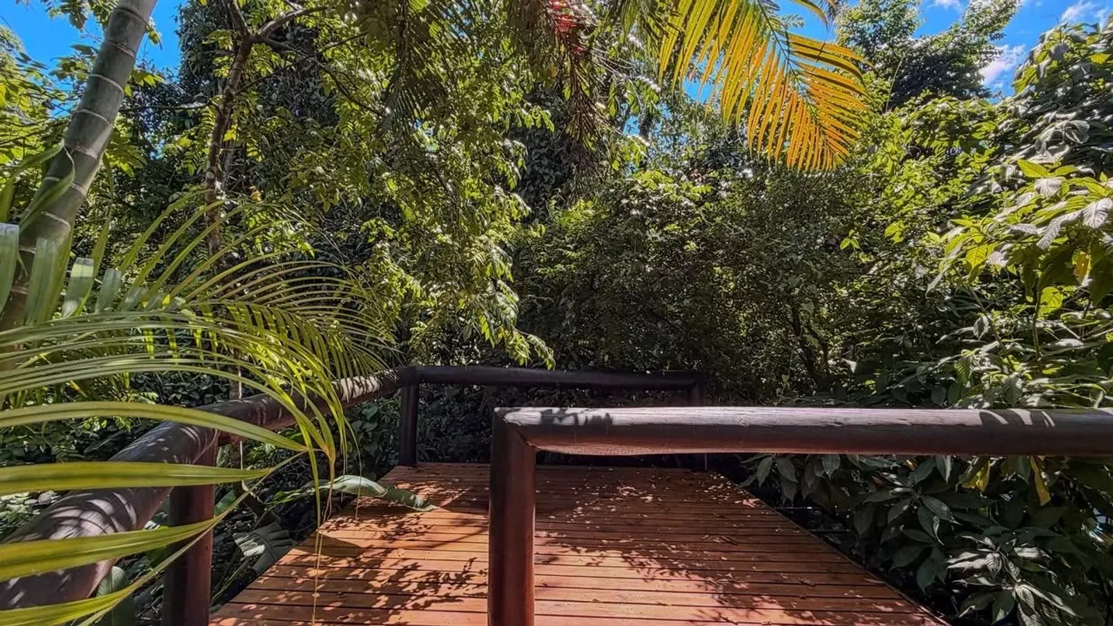 Casa em condomínio em Juquehy, São Sebastião - foto 11 de 40