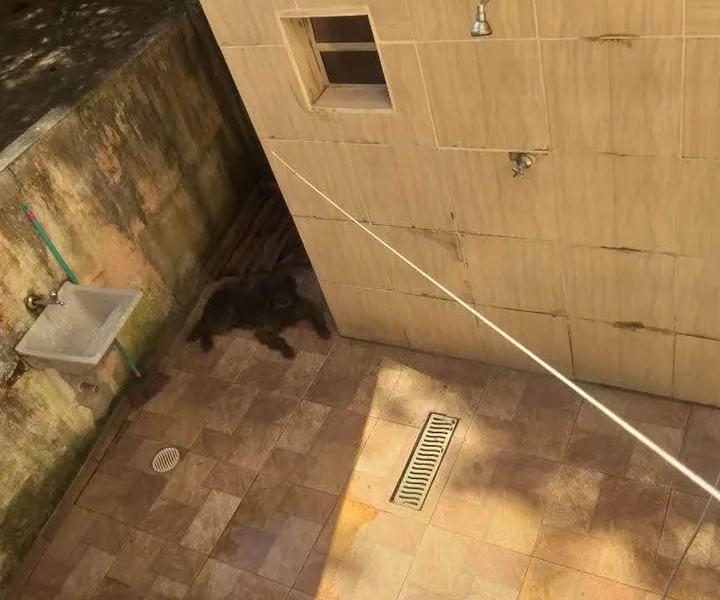 Casa em São Francisco, São Sebastião - foto 5 de 8