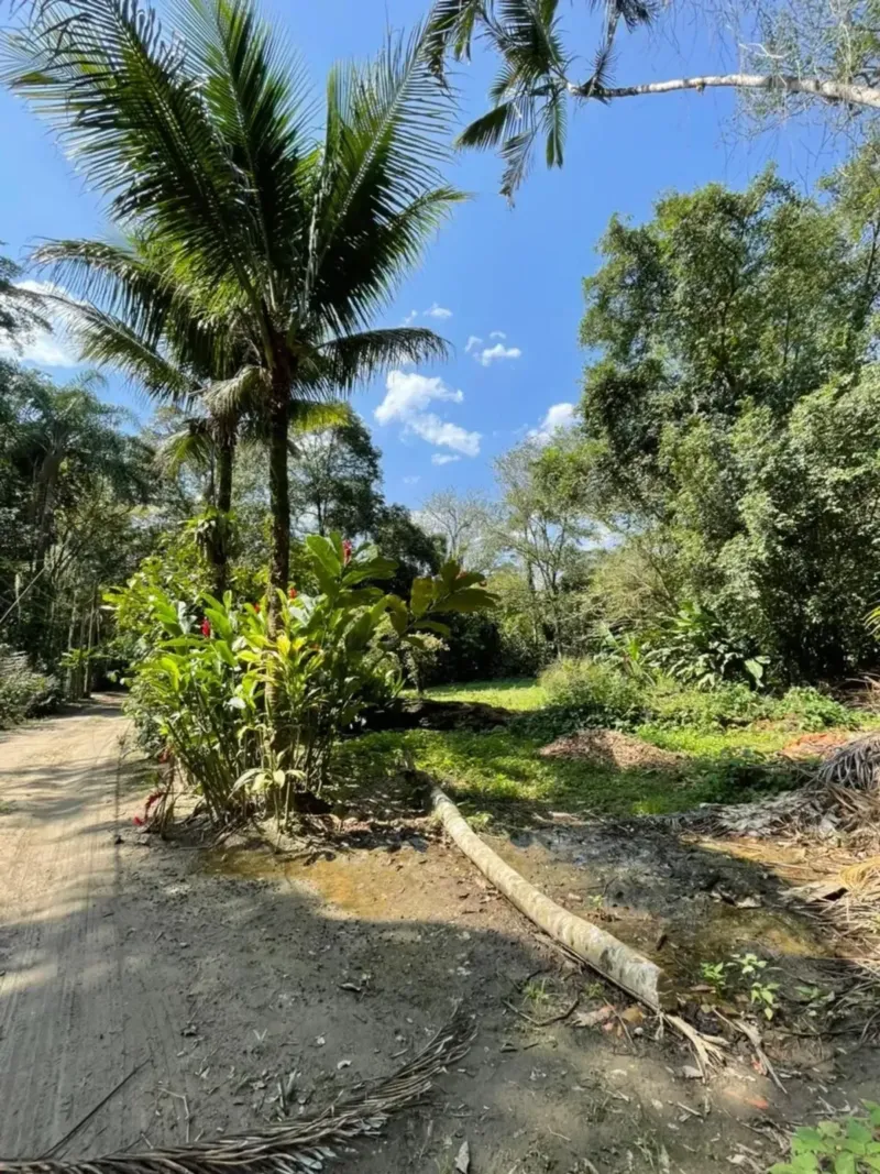 Chácara ou sítio em Camburi, São Sebastião - foto 11 de 23