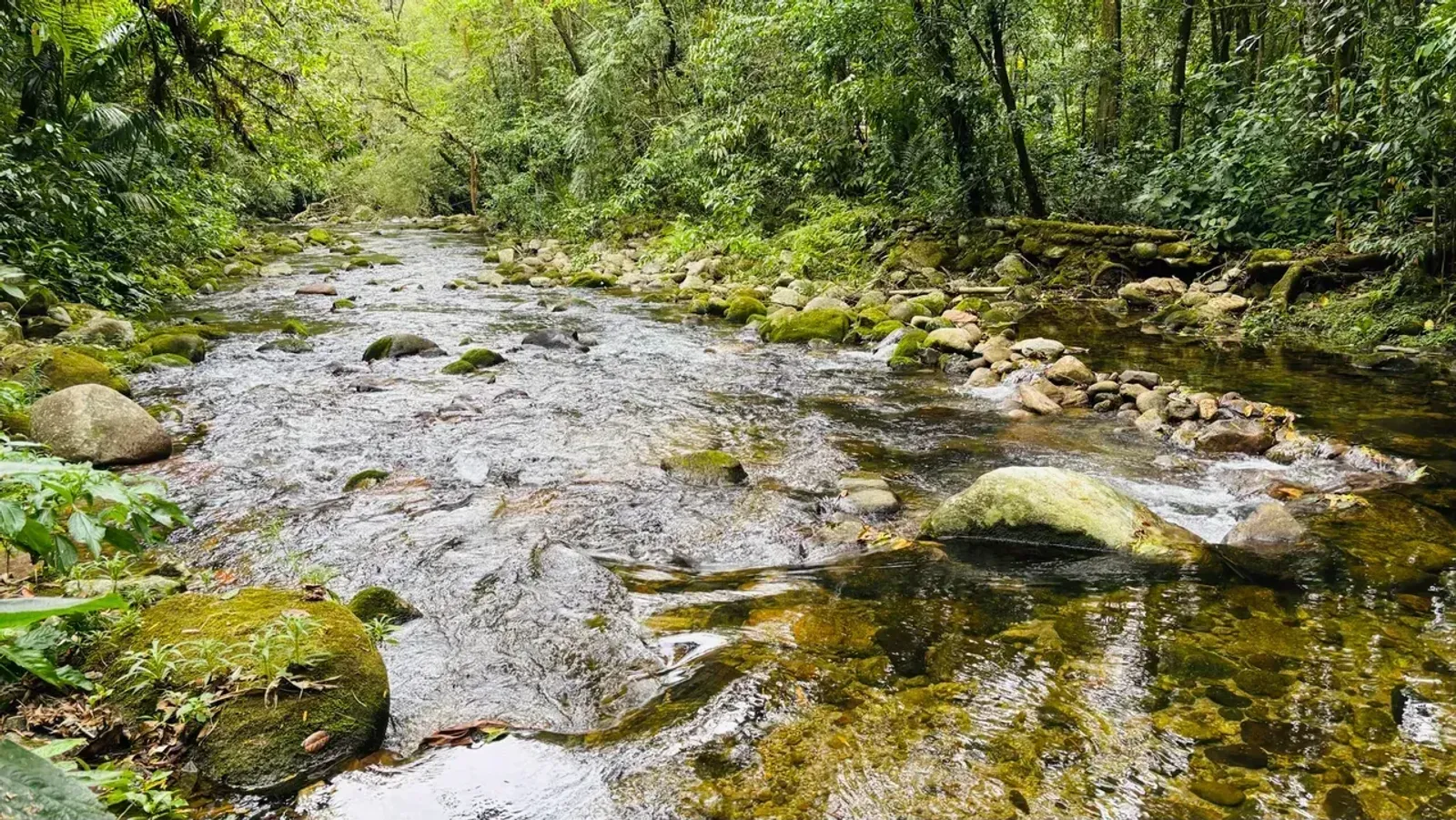 Chácara ou sítio em Camburi, São Sebastião - foto 22 de 23