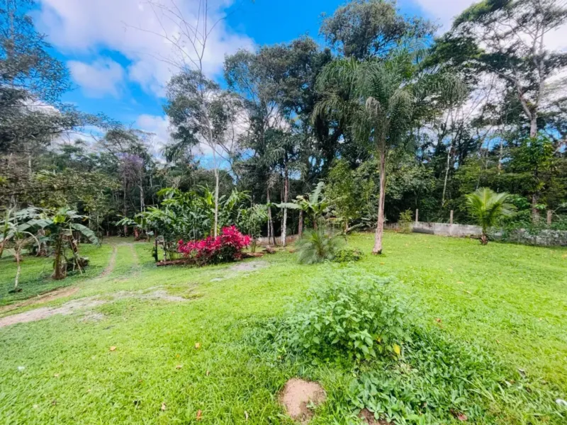 Chácara ou sítio em Camburi, São Sebastião - foto 3 de 19