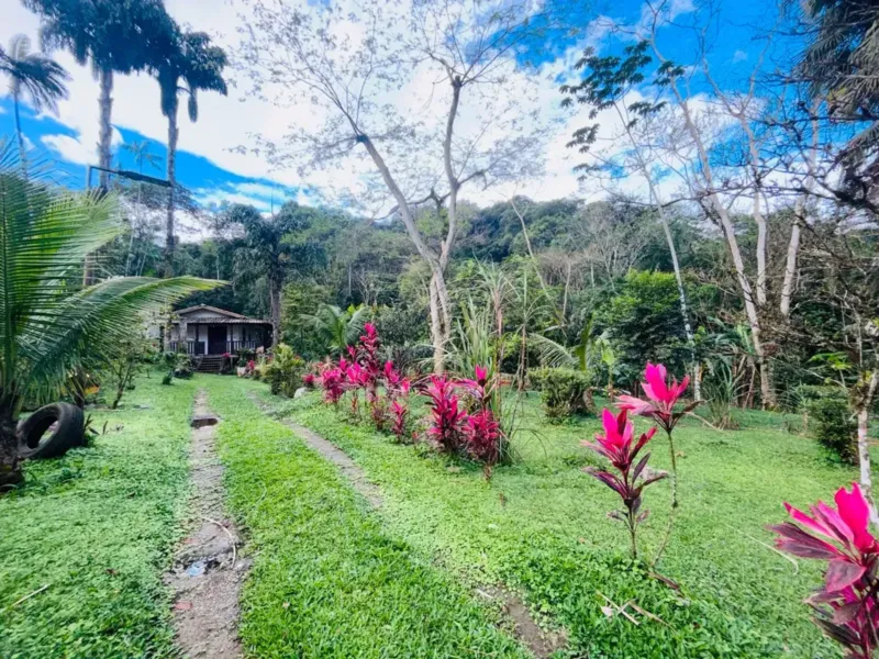 Chácara ou sítio em Camburi, São Sebastião - foto 5 de 19