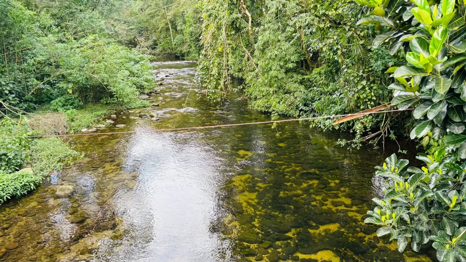 Chácara ou sítio em Camburi, São Sebastião - foto 7 de 19