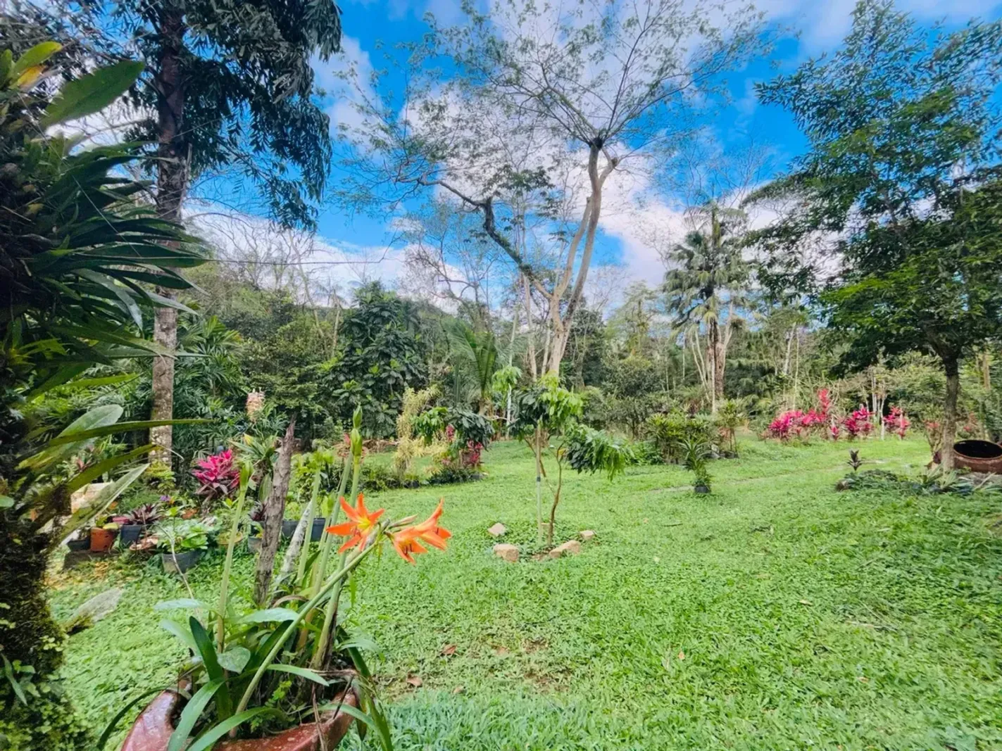Chácara ou sítio em Camburi, São Sebastião - foto 8 de 19