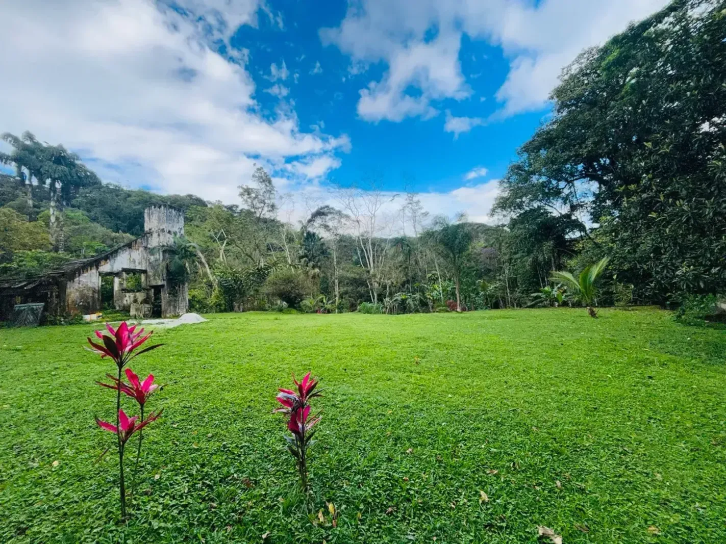 Chácara ou sítio em Camburi, São Sebastião - foto 14 de 19