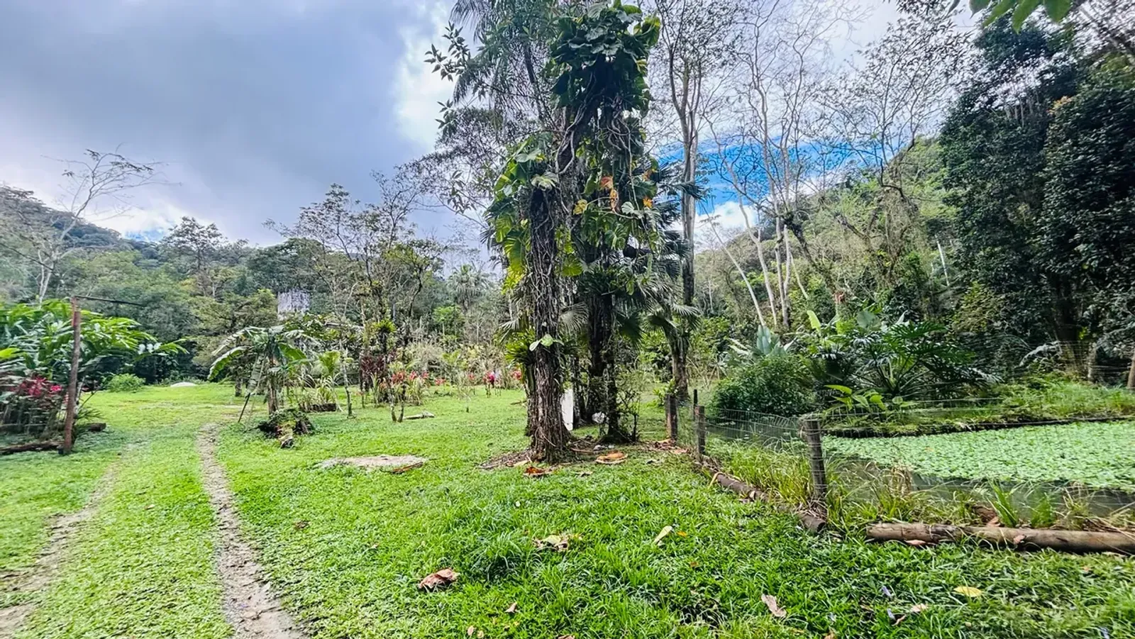 Chácara ou sítio em Camburi, São Sebastião - foto 15 de 19