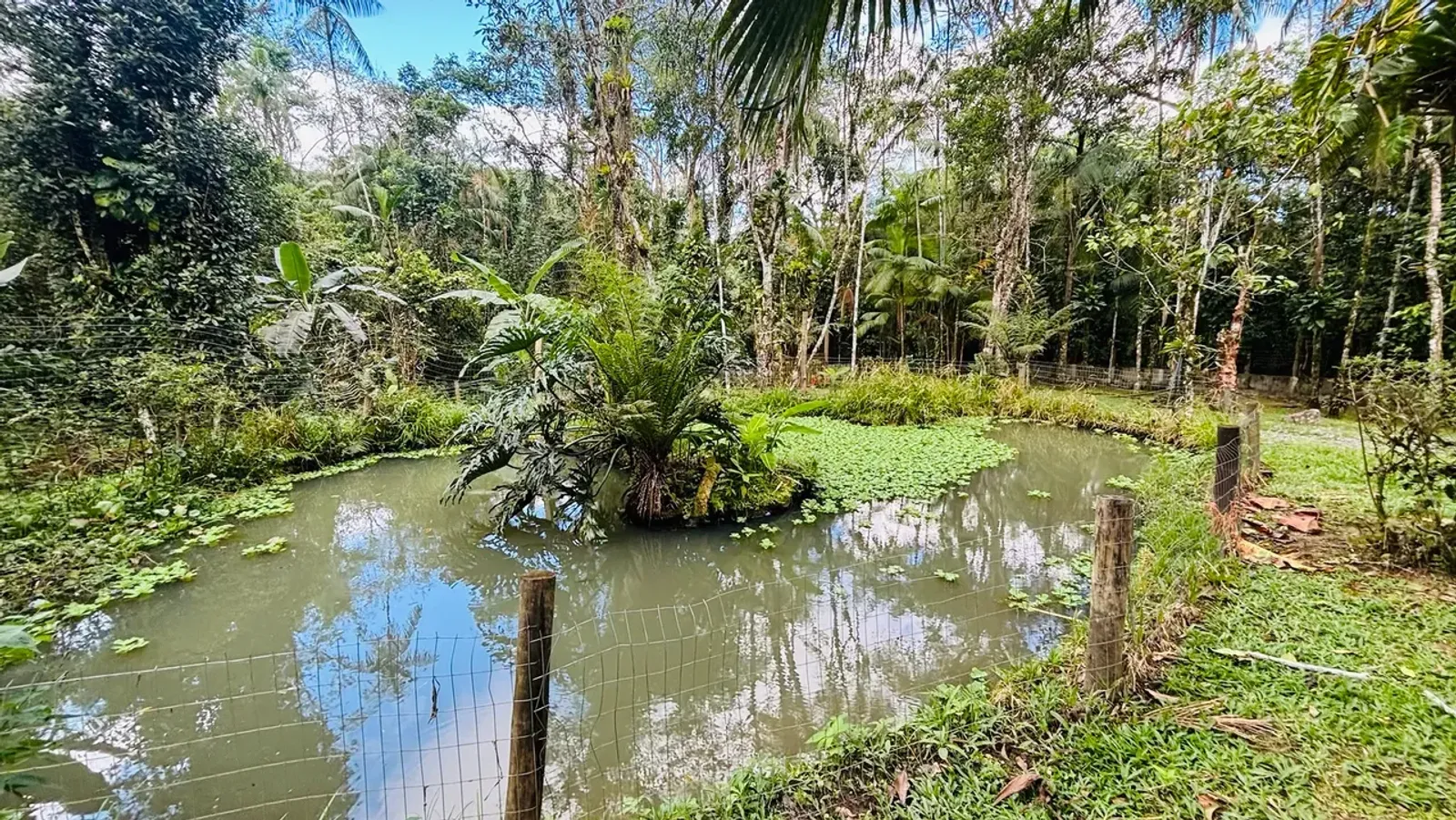 Chácara ou sítio em Camburi, São Sebastião - foto 17 de 19