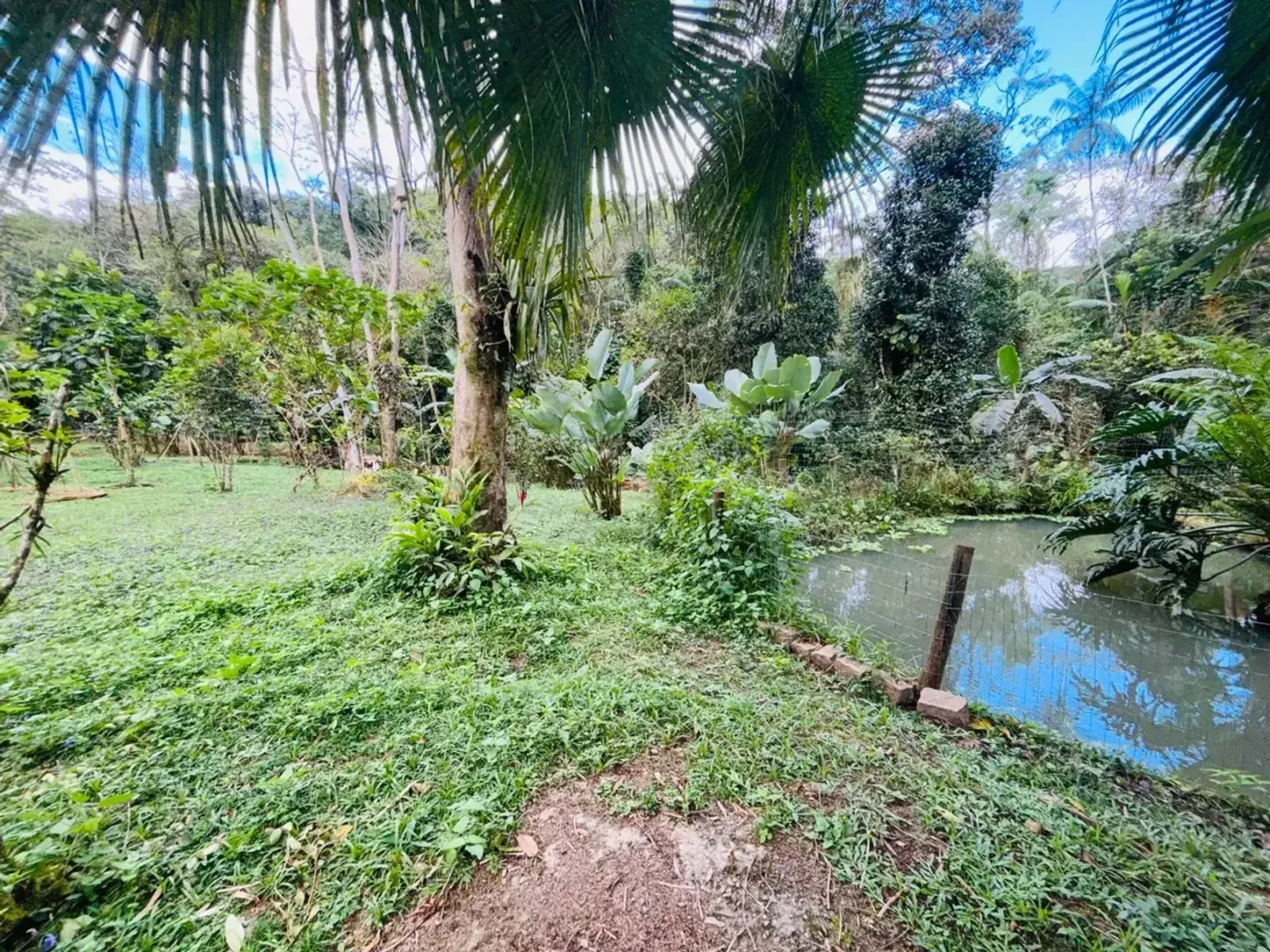 Chácara ou sítio em Camburi, São Sebastião - foto 19 de 19