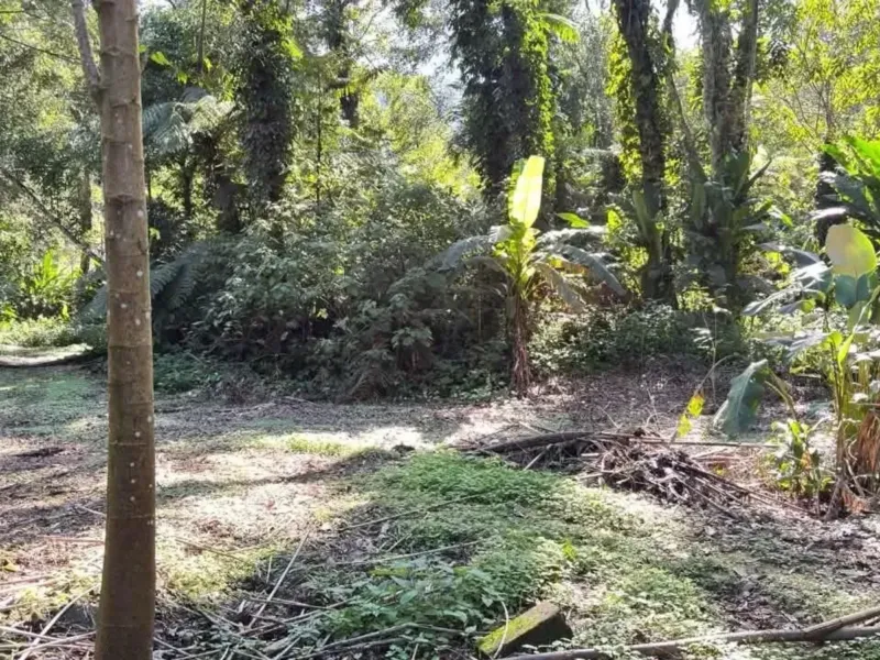 Terreno em Camburi, São Sebastião - foto 2 de 11
