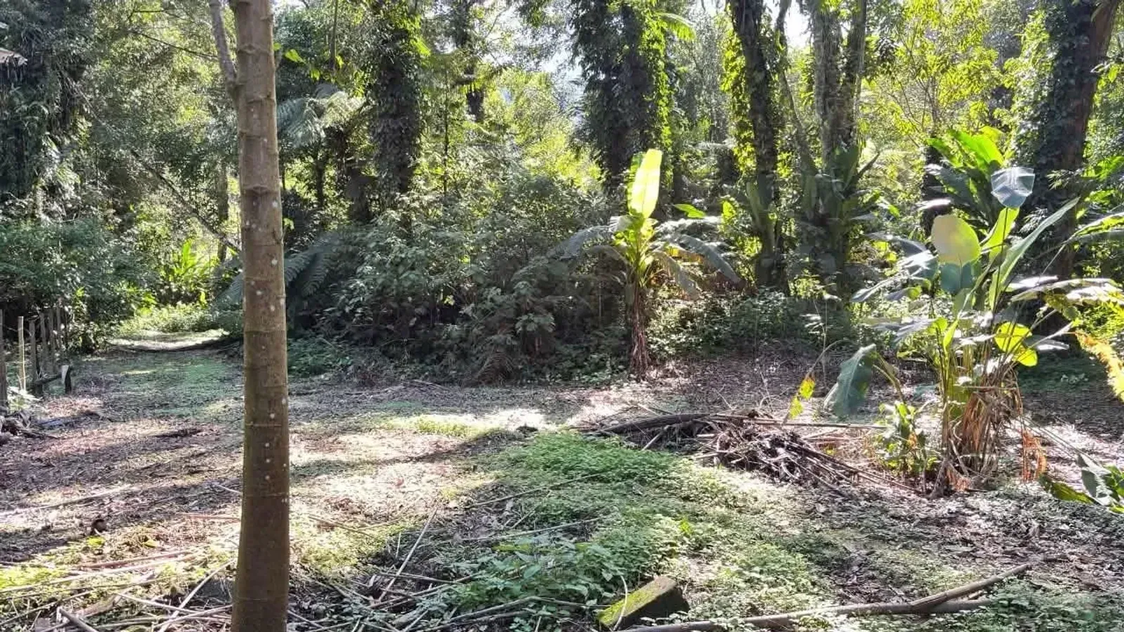 Terreno em Camburi, São Sebastião - foto 2 de 11
