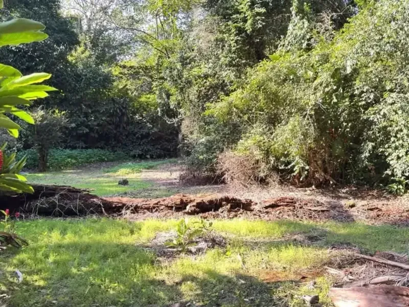 Terreno em Camburi, São Sebastião - foto 3 de 11