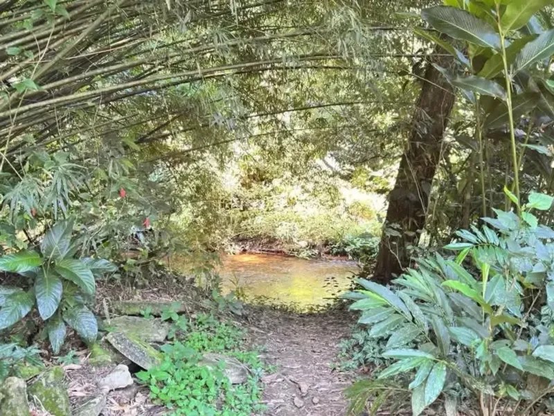 Terreno em Camburi, São Sebastião - foto 4 de 11