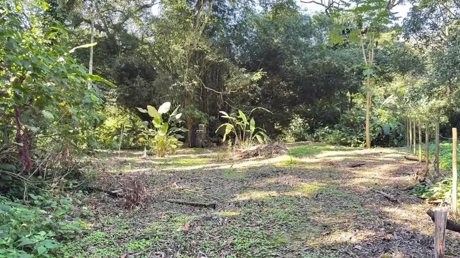 Terreno em Camburi, São Sebastião - foto 6 de 11
