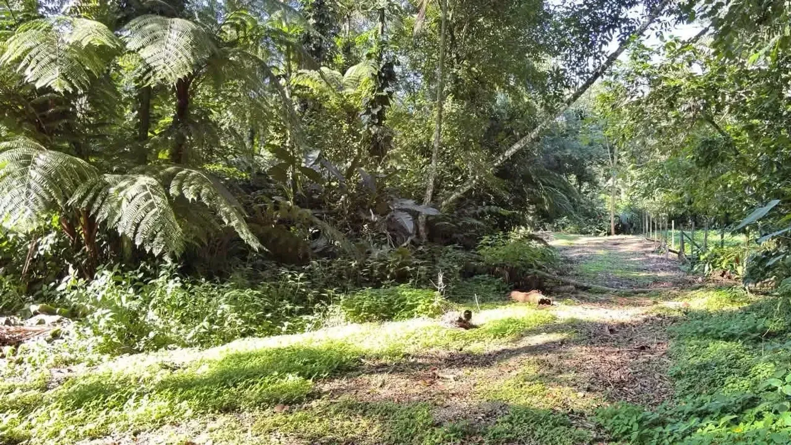 Terreno em Camburi, São Sebastião - foto 7 de 11
