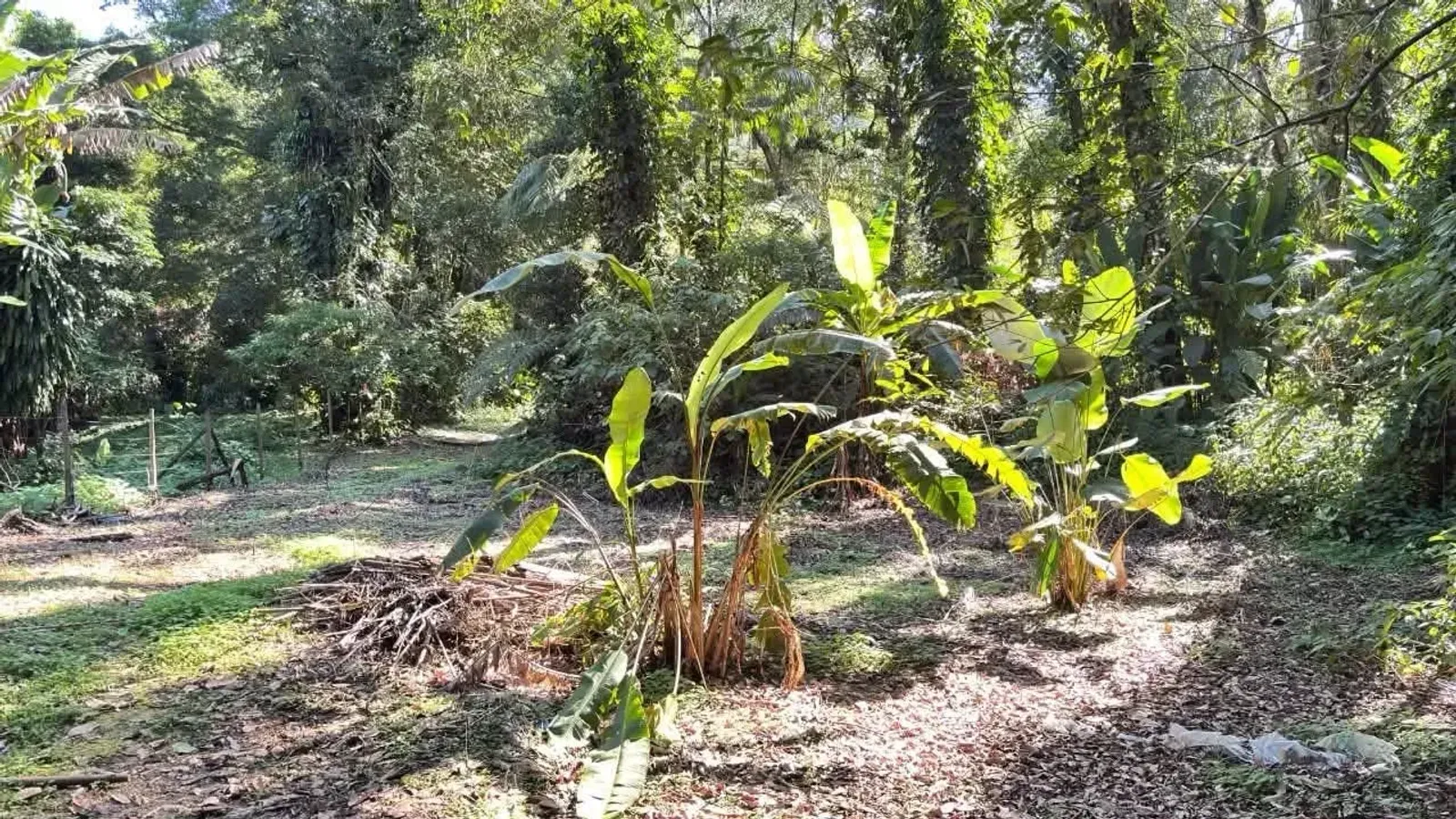 Terreno em Camburi, São Sebastião - foto 8 de 11