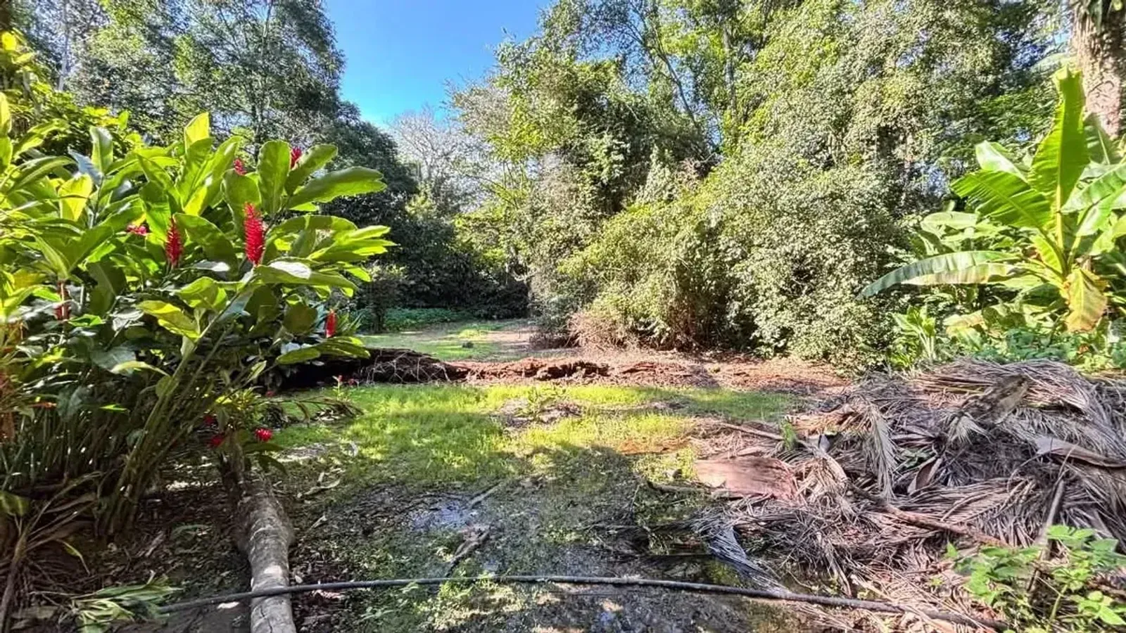 Terreno em Camburi, São Sebastião - foto 9 de 11
