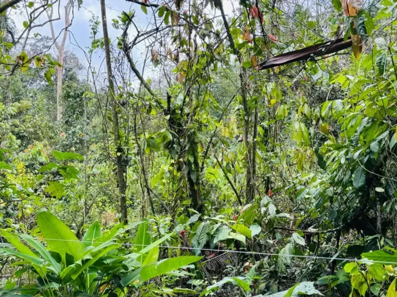 Terreno em Camburi, São Sebastião - foto 2 de 9