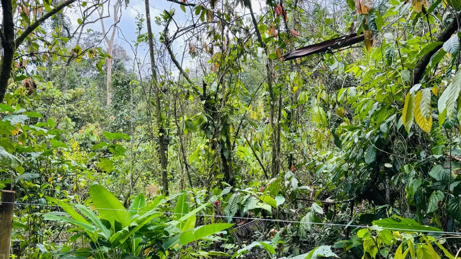 Terreno em Camburi, São Sebastião - foto 2 de 9