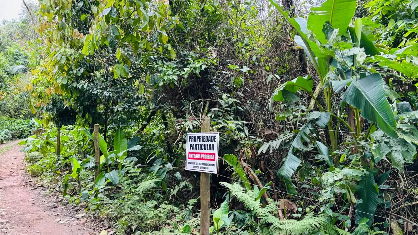 Terreno em Camburi, São Sebastião - foto 7 de 9