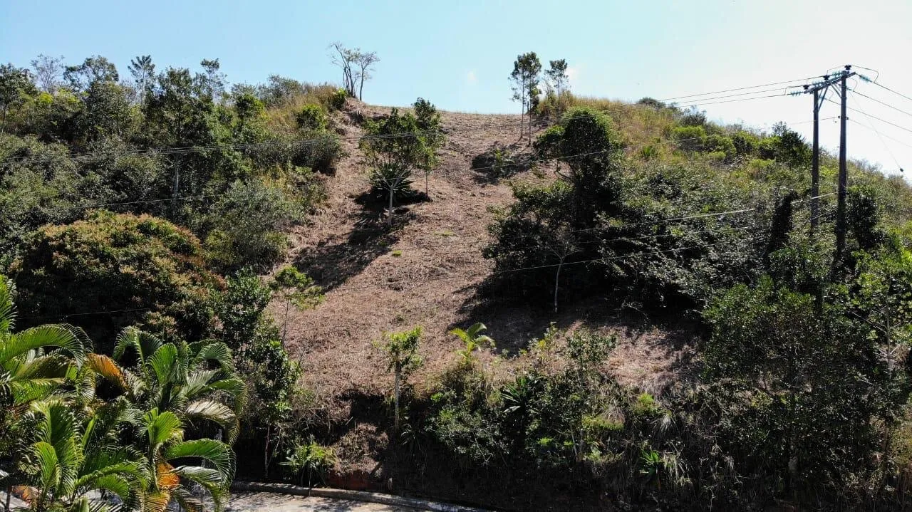Terreno em Cigarras, São Sebastião - foto 4 de 13