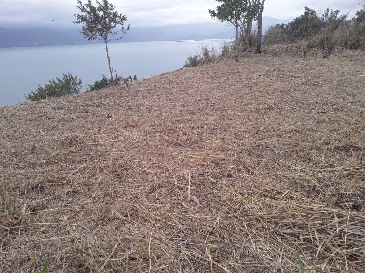 Terreno em Cigarras, São Sebastião - foto 8 de 13