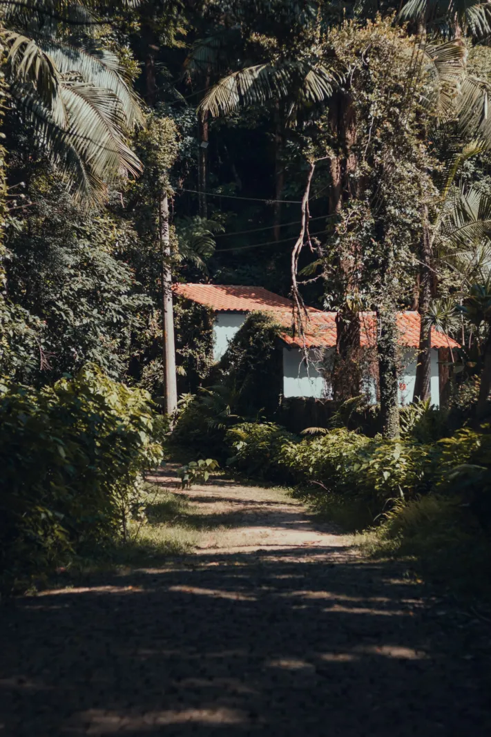 Casa de telhado vermelho no meio da mata